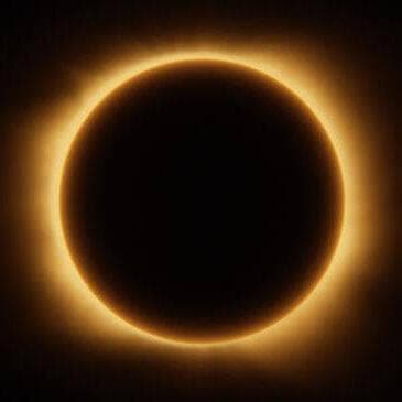 Experience the Solar Eclipse at the Plan d'eau