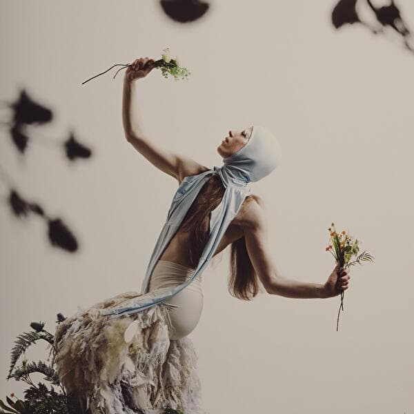 The Pigeon Dance