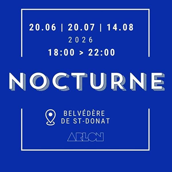 Nocturne at the Belvedere