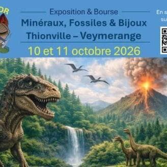 Geolor: Mineral, Fossil & Jewelry Exhibition and Exchange