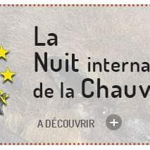 Visite guidée - La nuit de la chauve-souris