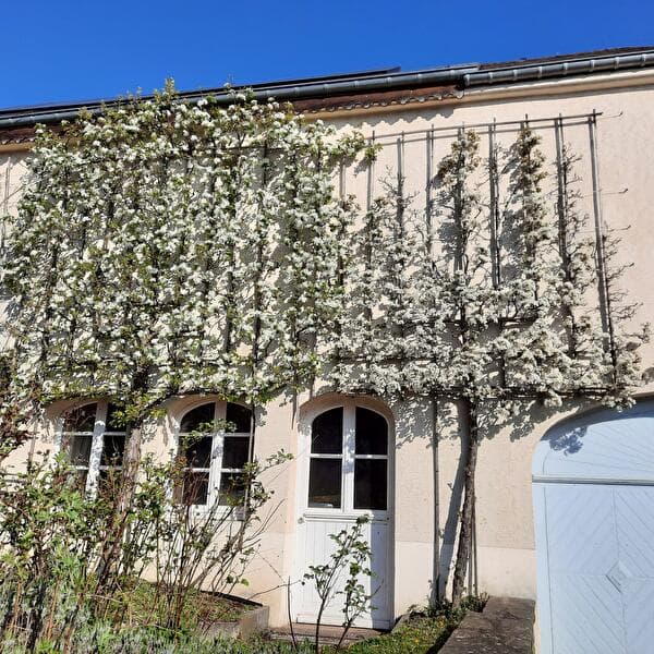 Introduction: Greened Facade