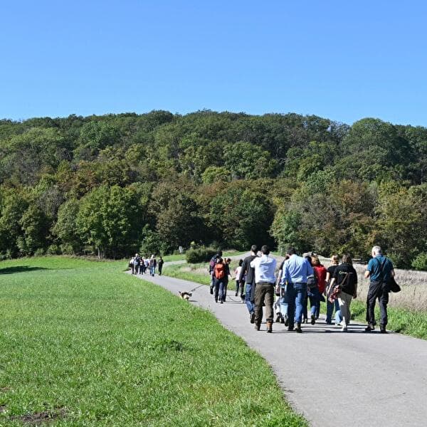 Walk and discussion (4–6 km)