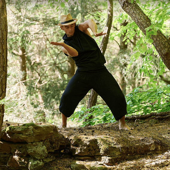 Initiation au Qi Gong