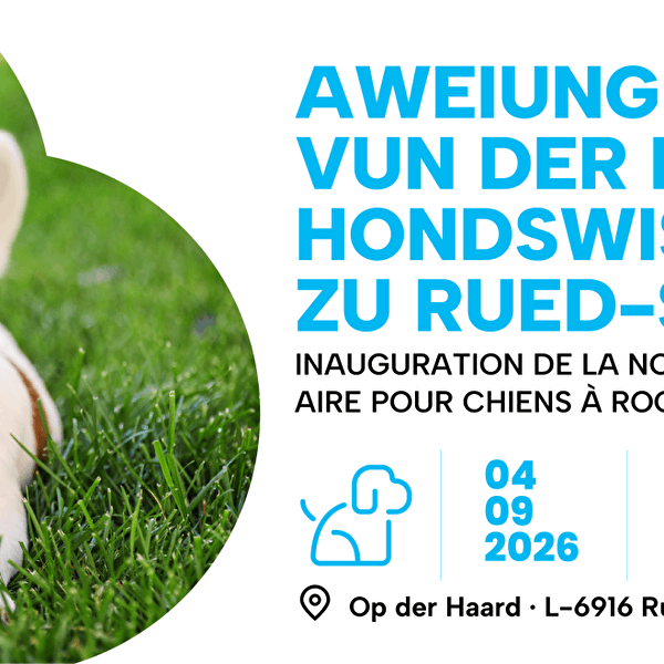 Opening of the new dog park