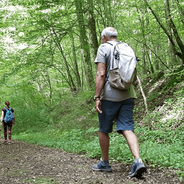 Nature walk