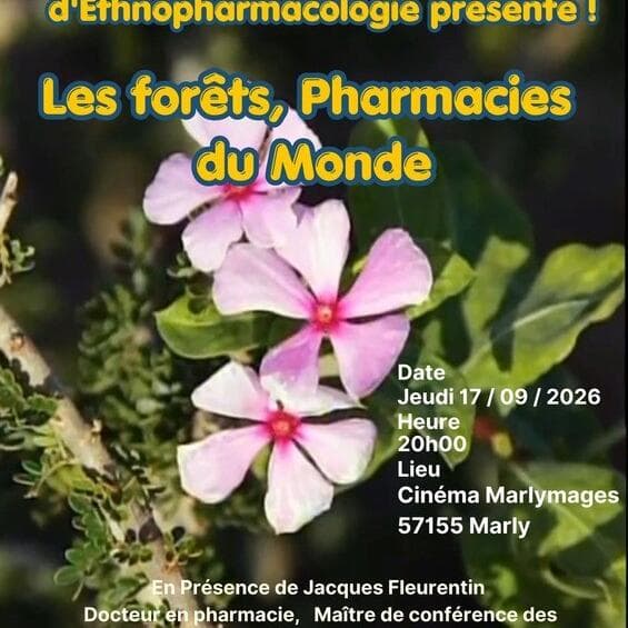 Cinema - Forests, Pharmacy of the World