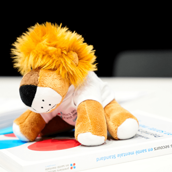 Mental health first aid course for teenagers in Luxembourgish
