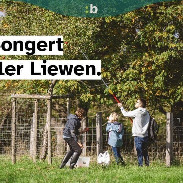 En Dag am Bongert