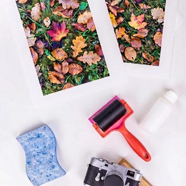 Atelier : transfert de photographies sur bois