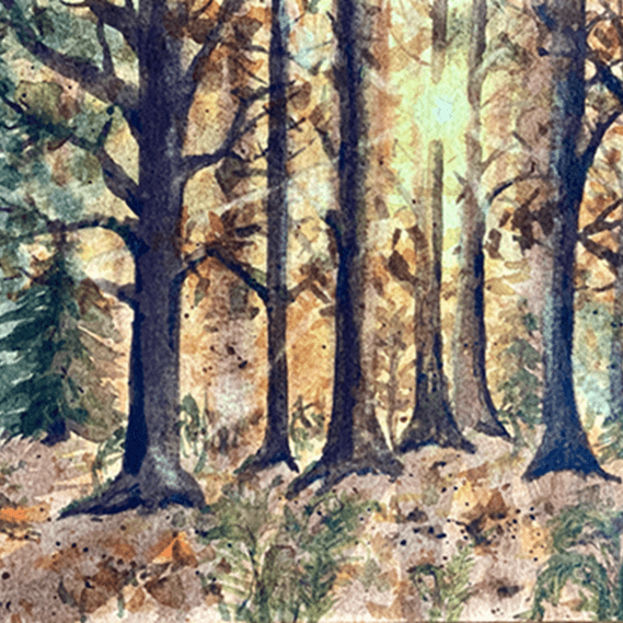 Atelier aquarelle – Forêt d’automne