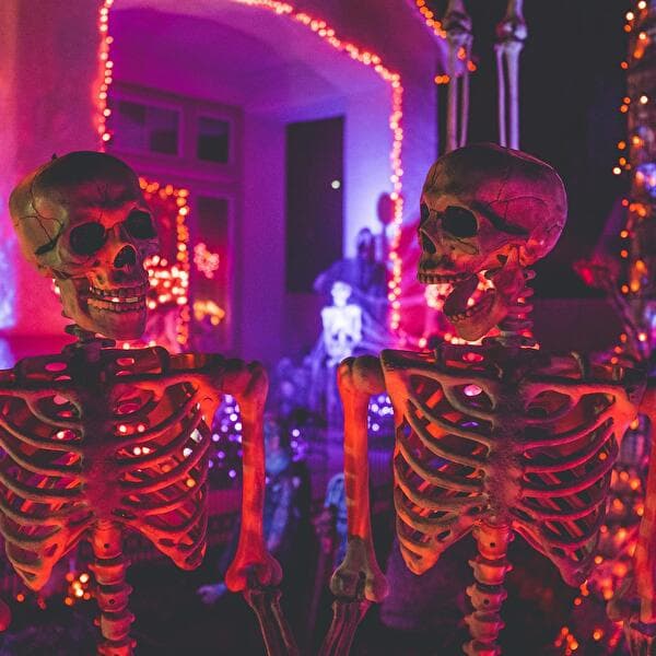 Halloween Party Night