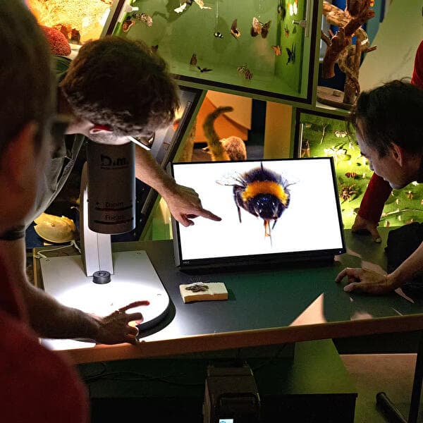 Guided tours of the permanent exhibition