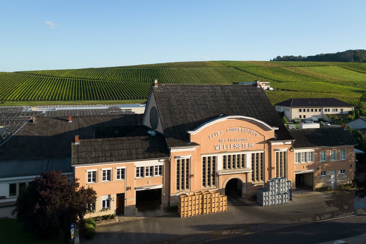 Domaines Vinsmoselle : visites, dégustations et caves au Luxembourg - 9