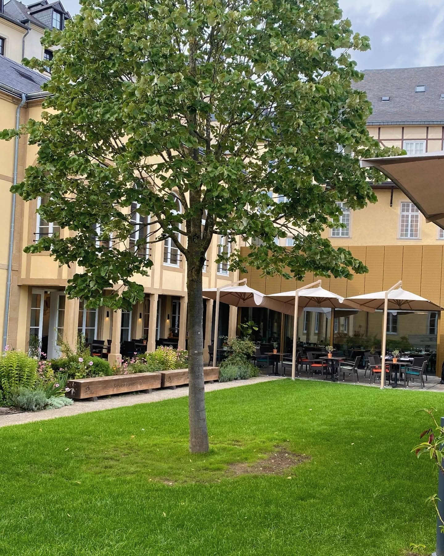L'Hêtre Beim Musée, la brasserie la plus gourmande de Luxembourg-Ville - 4