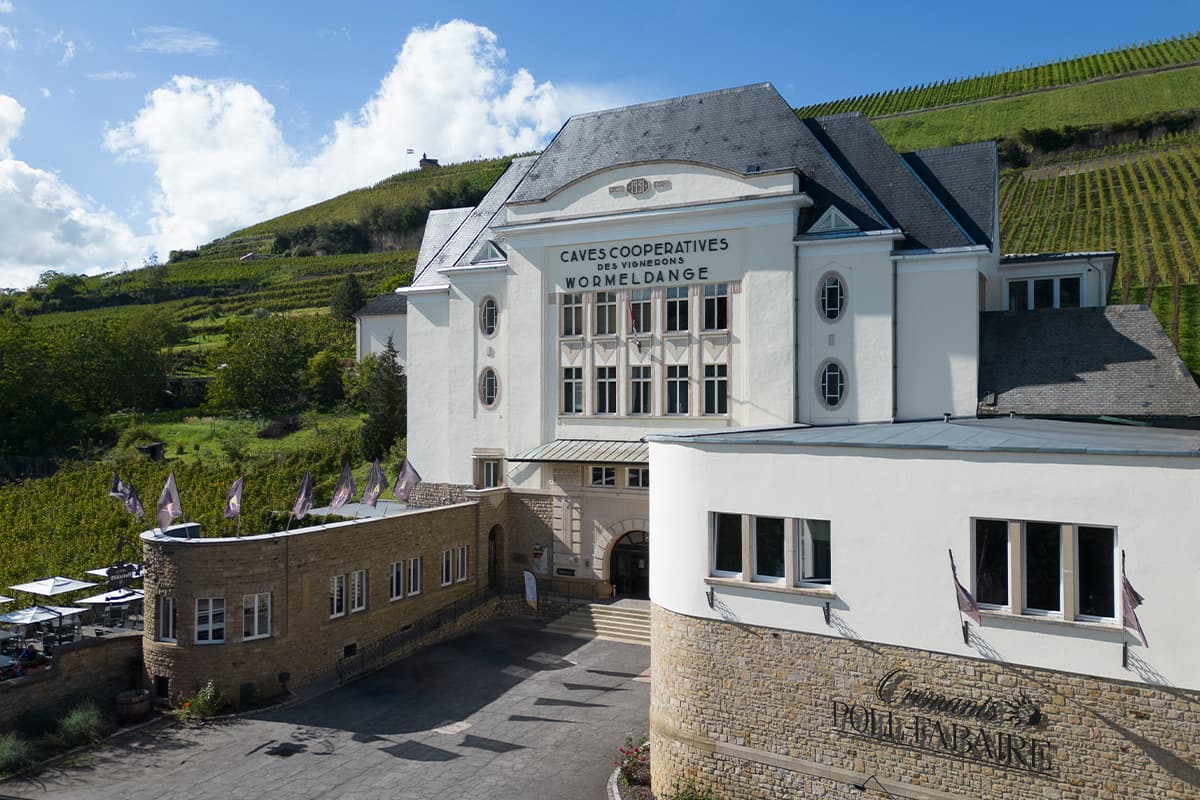 Domaines Vinsmoselle : visites, dégustations et caves au Luxembourg - 10