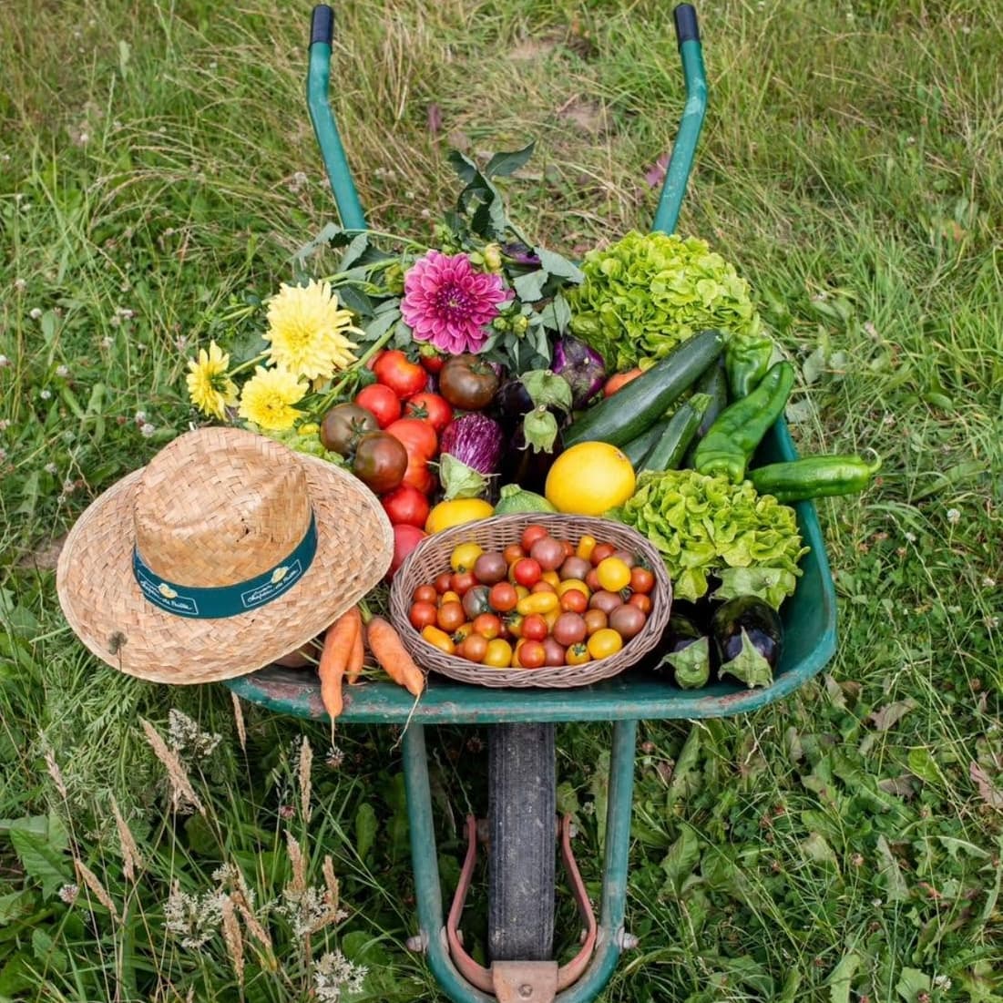 Cueillette de Peltre : pommes, citrouilles et légumes de saison