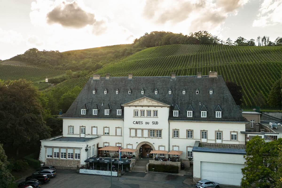 Domaines Vinsmoselle : visites, dégustations et caves au Luxembourg - 7