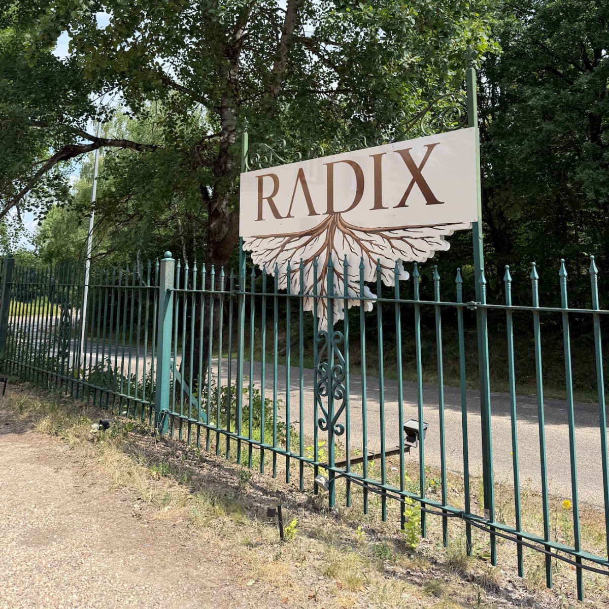Radix : cuisine gastronomique et terrasse au cœur de la nature - 1