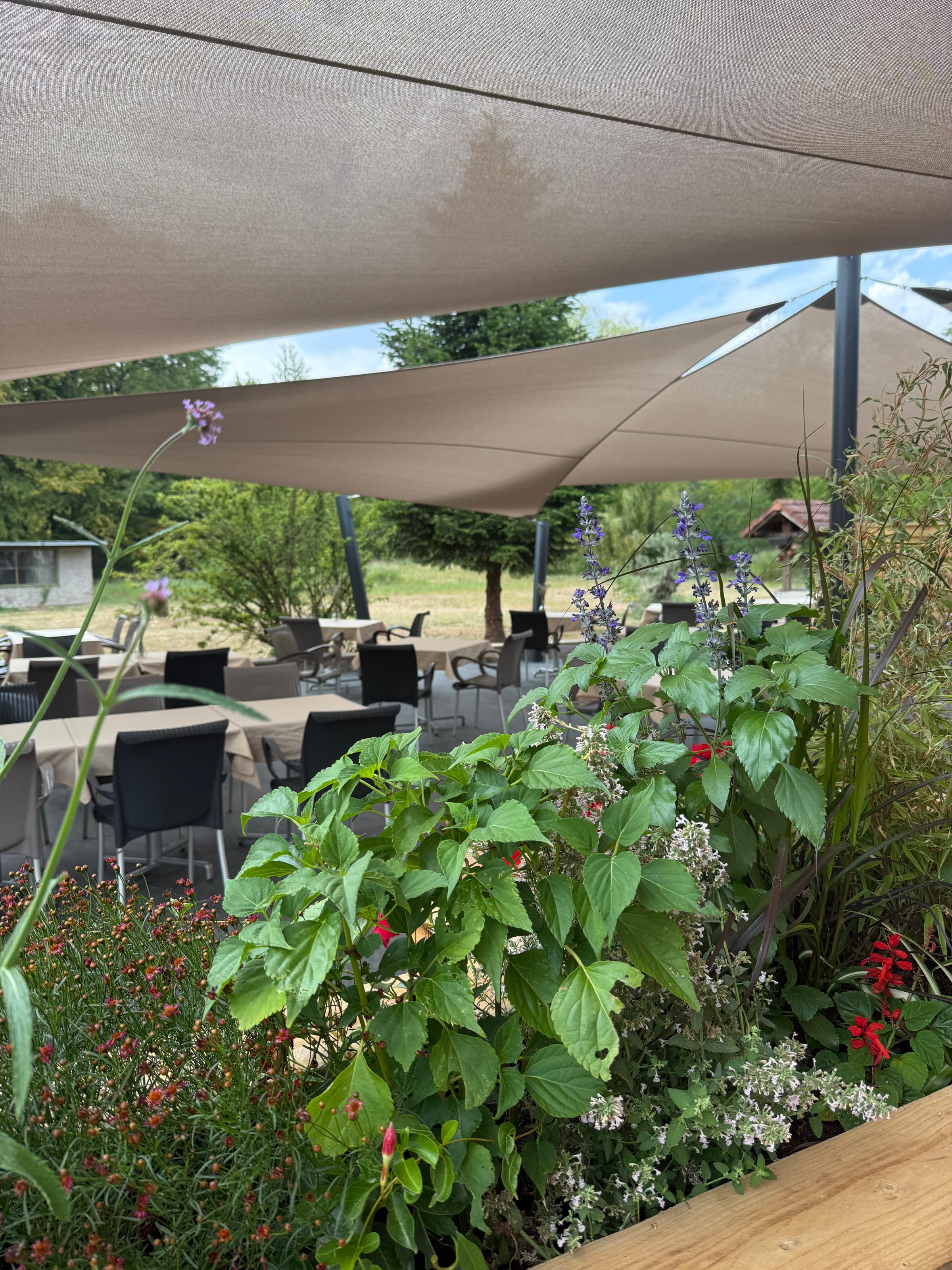 Radix : cuisine gastronomique et terrasse au cœur de la nature - 5