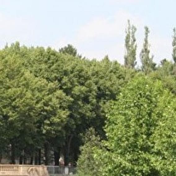 Une retraite spirituelle au parc