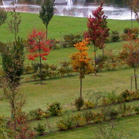 Flâner au vert, en découvrant les arbres!