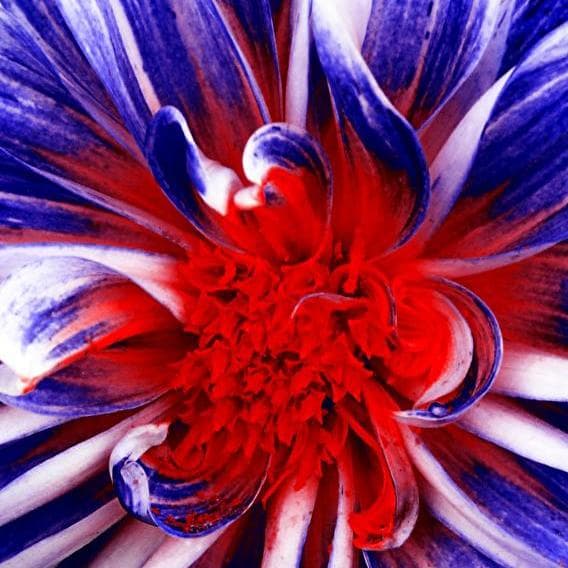 Savoir-flair...fleur...faire inégalé