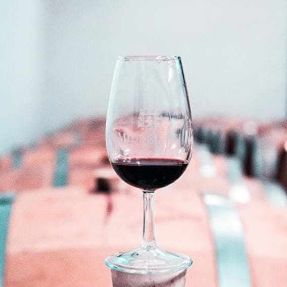 The wine that suits you!
