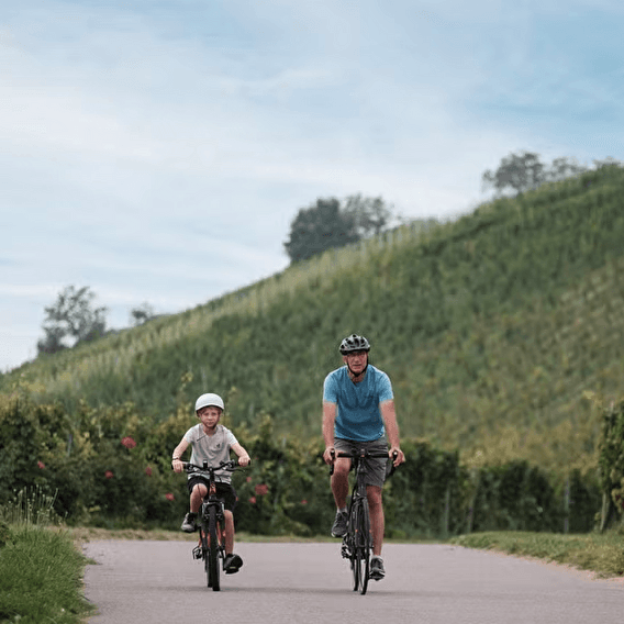 La route des vins