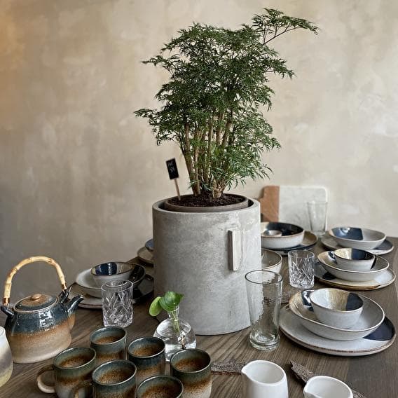 Un café dans la jungle