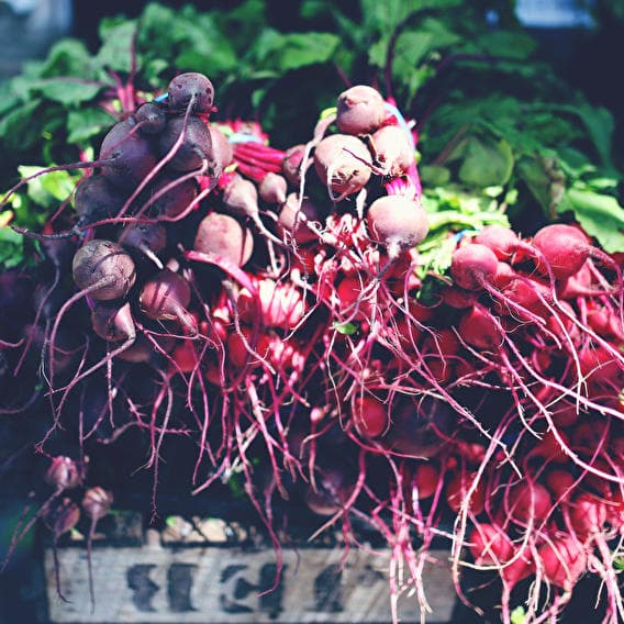 Let's go organic! - 1