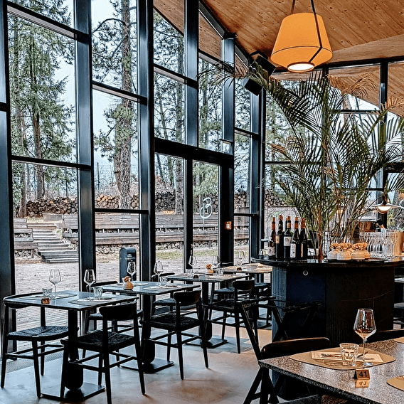 La Brasserie en lisière de forêt - 1