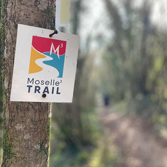 Moselle³-Trail : 33 km et 3 pays