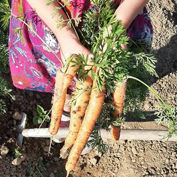 Du jardin à la ferme : mets la main à la pâte !