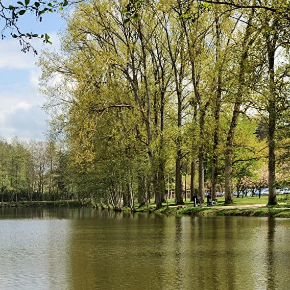 Fitness trip and jogging around the lake