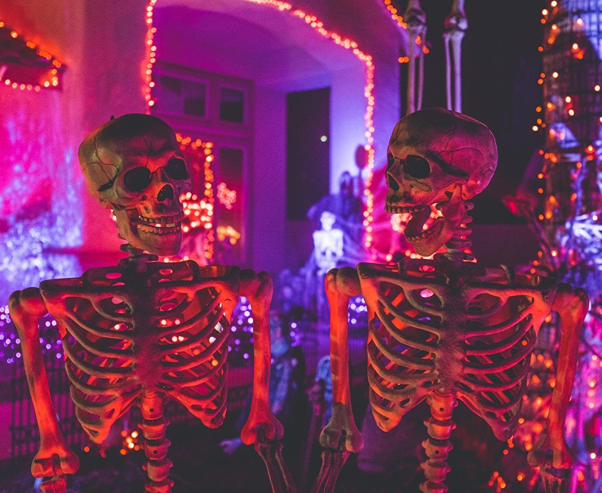 Les meilleures sorties pour Halloween ! 👻