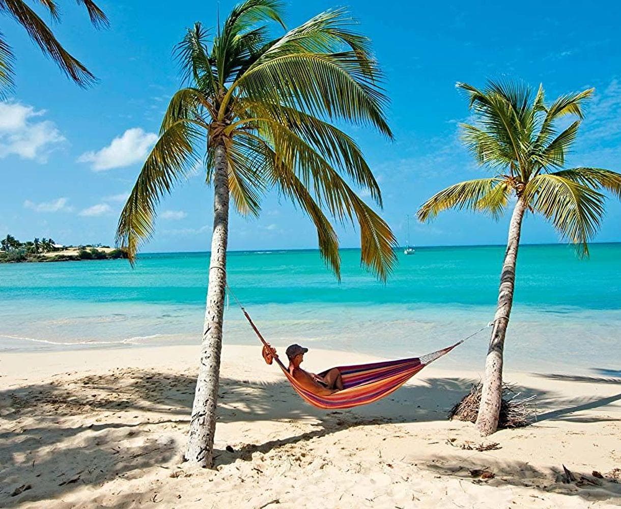 Nouvelle qui a réjoui un membre de la Joyeuse Équipe : 🇲🇶+🇬🇵=✈️