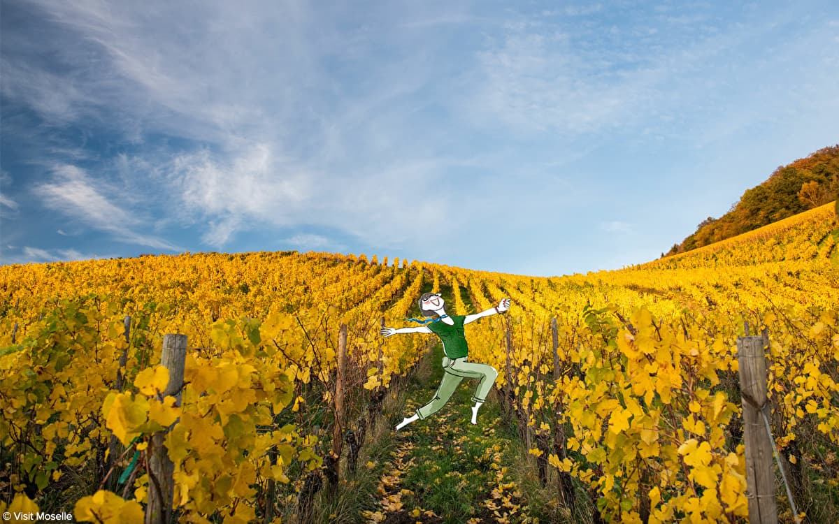 Hiking, biking, wine, and more: your fall itinerary