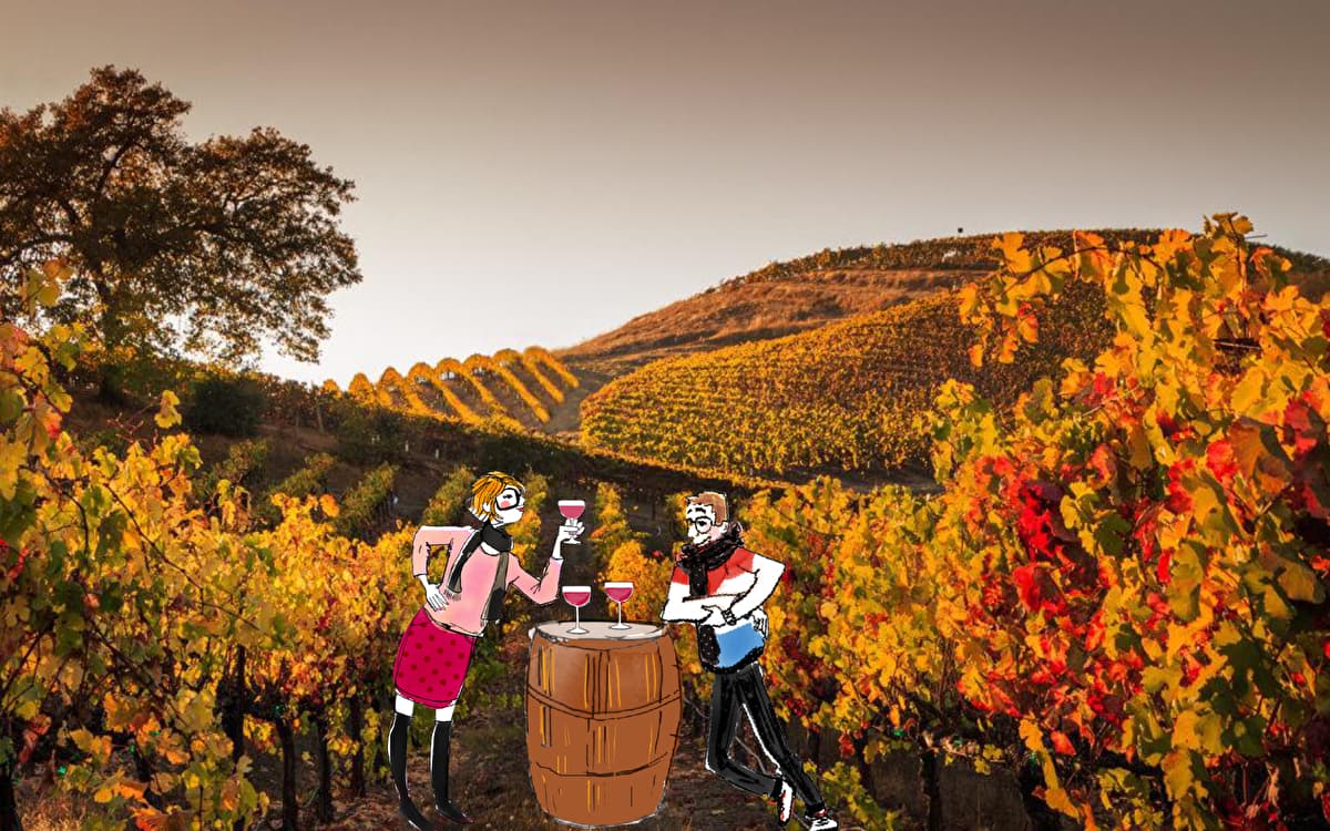 Where to celebrate Beaujolais Nouveau?